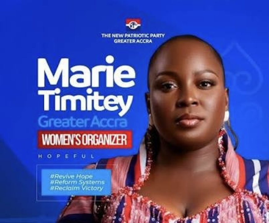 NPP Must End Internal Division to Rebuild for 2028  -  Marie Timitey Writes