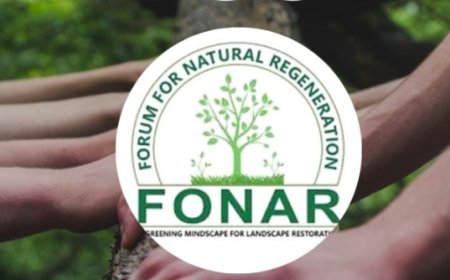 FONAR Calls for  Journalists Involvement as  Striga  Weed Threatens Food Security Across Northern Ghan