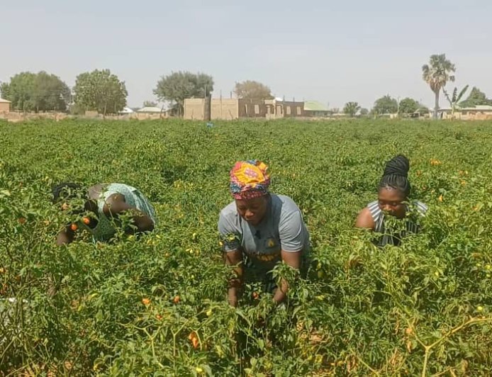 Women in agriculture and the climate in the Upper East  Region of Ghana