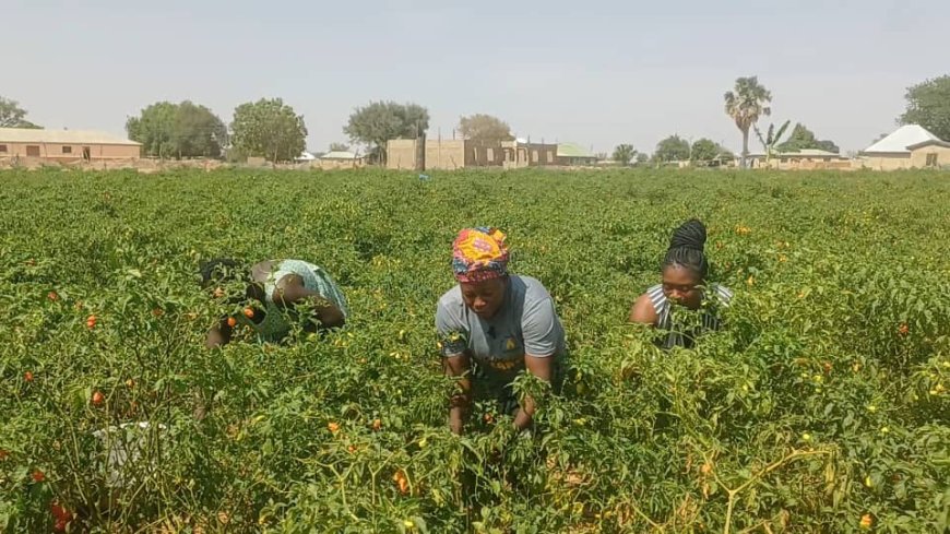 Women in agriculture and the climate in the Upper East  Region of Ghana