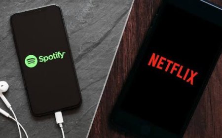 Netflix, Spotify and ChatGPT subscriptions to attract 20% tax from October 15